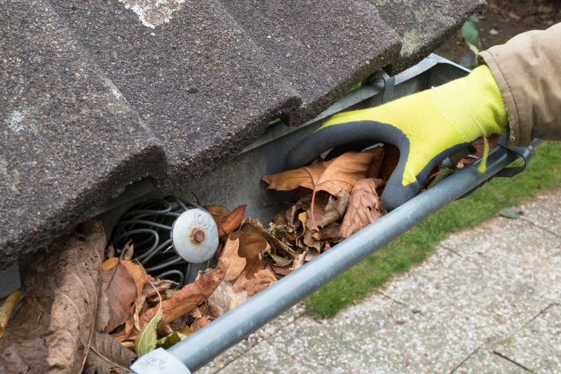 Gutter Service