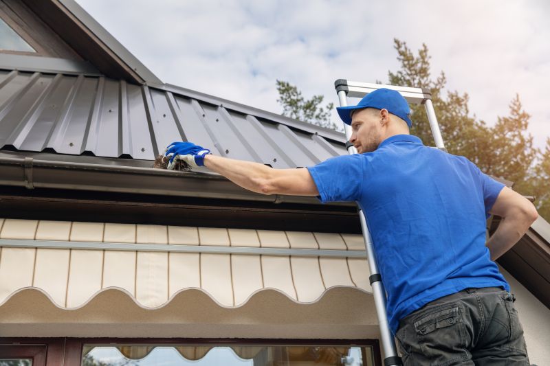 Gutter Service