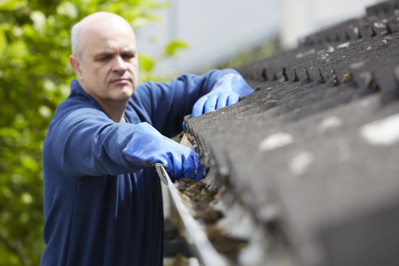 Gutter Cleaning Specialists